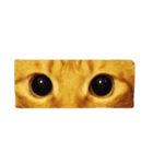 The Tigers（個別スタンプ：2）