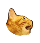 The Tigers（個別スタンプ：6）