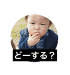 けいりいはるいちか（個別スタンプ：31）