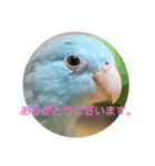 こもりの日常（個別スタンプ：4）