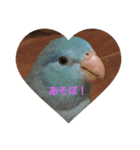 こもりの日常（個別スタンプ：6）