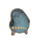 こもりの日常（個別スタンプ：9）