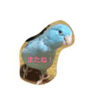 こもりの日常（個別スタンプ：10）