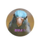 こもりの日常（個別スタンプ：12）