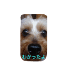 チャミ（個別スタンプ：7）