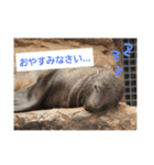 alice-Aquarium（個別スタンプ：3）