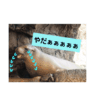 alice-Aquarium（個別スタンプ：4）