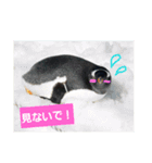 alice-Aquarium（個別スタンプ：5）