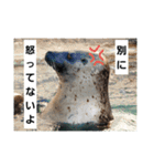 alice-Aquarium（個別スタンプ：6）