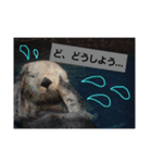 alice-Aquarium（個別スタンプ：7）