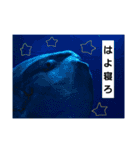alice-Aquarium（個別スタンプ：9）