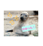 alice-Aquarium（個別スタンプ：10）