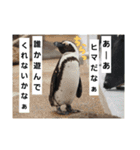 alice-Aquarium（個別スタンプ：11）