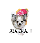 ハッピーエブリデイ（個別スタンプ：1）