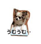 ハッピーエブリデイ（個別スタンプ：2）