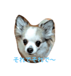 ハッピーエブリデイ（個別スタンプ：7）