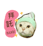 My Chuu（個別スタンプ：1）