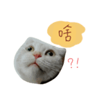 My Chuu（個別スタンプ：2）