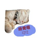 My Chuu（個別スタンプ：4）