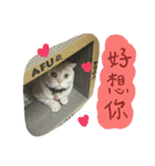 My Chuu（個別スタンプ：6）