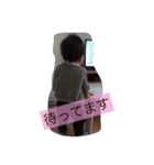 うーちゃんの可愛い甥っ子（個別スタンプ：10）