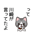 川崎さんと川崎さんの友達専用（個別スタンプ：40）