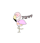 鳥さん了解スタンプ（個別スタンプ：6）