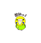 鳥さん了解スタンプ（個別スタンプ：20）