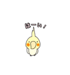 鳥さん了解スタンプ（個別スタンプ：22）