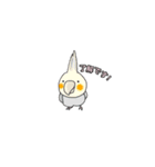 鳥さん了解スタンプ（個別スタンプ：24）