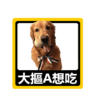 BABY MISS YOU（個別スタンプ：14）