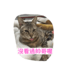 BoBoW（個別スタンプ：8）