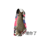 Dog+Cat（個別スタンプ：2）