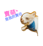 babycoco（個別スタンプ：5）