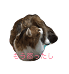 chocosan stamp（個別スタンプ：2）
