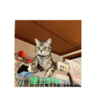 床屋さんのそらちゃんパート2（個別スタンプ：5）