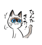 警戒心の強い猫のスタンプ（個別スタンプ：19）