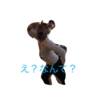 馬男さん（個別スタンプ：2）