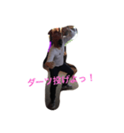 馬男さん（個別スタンプ：7）