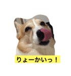 LETenjoy（個別スタンプ：4）