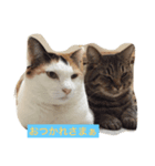 LETenjoy（個別スタンプ：8）