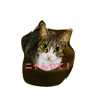ulu ＆ loco（個別スタンプ：8）