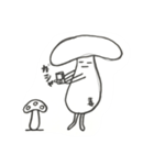 毎日キノコ（個別スタンプ：28）
