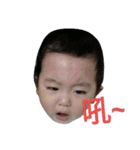 Sheng Wei（個別スタンプ：16）