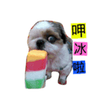 love . dog（個別スタンプ：1）