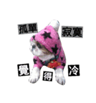love . dog（個別スタンプ：2）