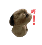 love . dog（個別スタンプ：3）