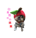love . dog（個別スタンプ：6）