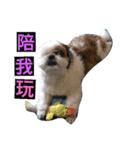 love . dog（個別スタンプ：7）