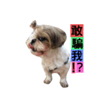 love . dog（個別スタンプ：8）